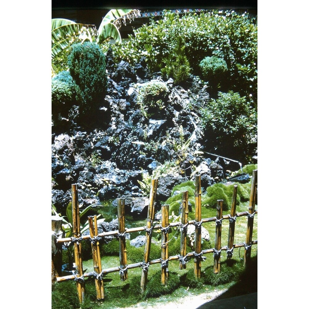 Original 1965 35mm Slide, "Garden And Bamboo Fence",  Hawaii